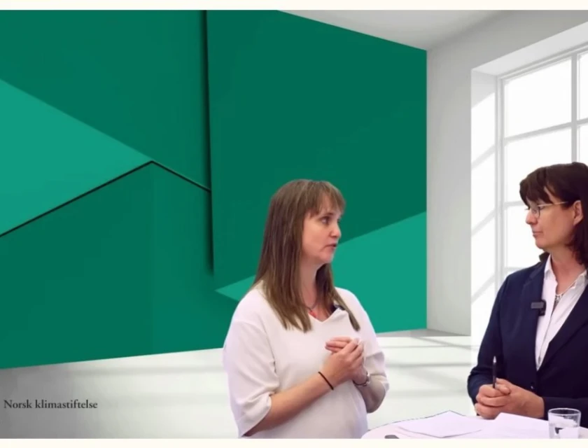 Default image description